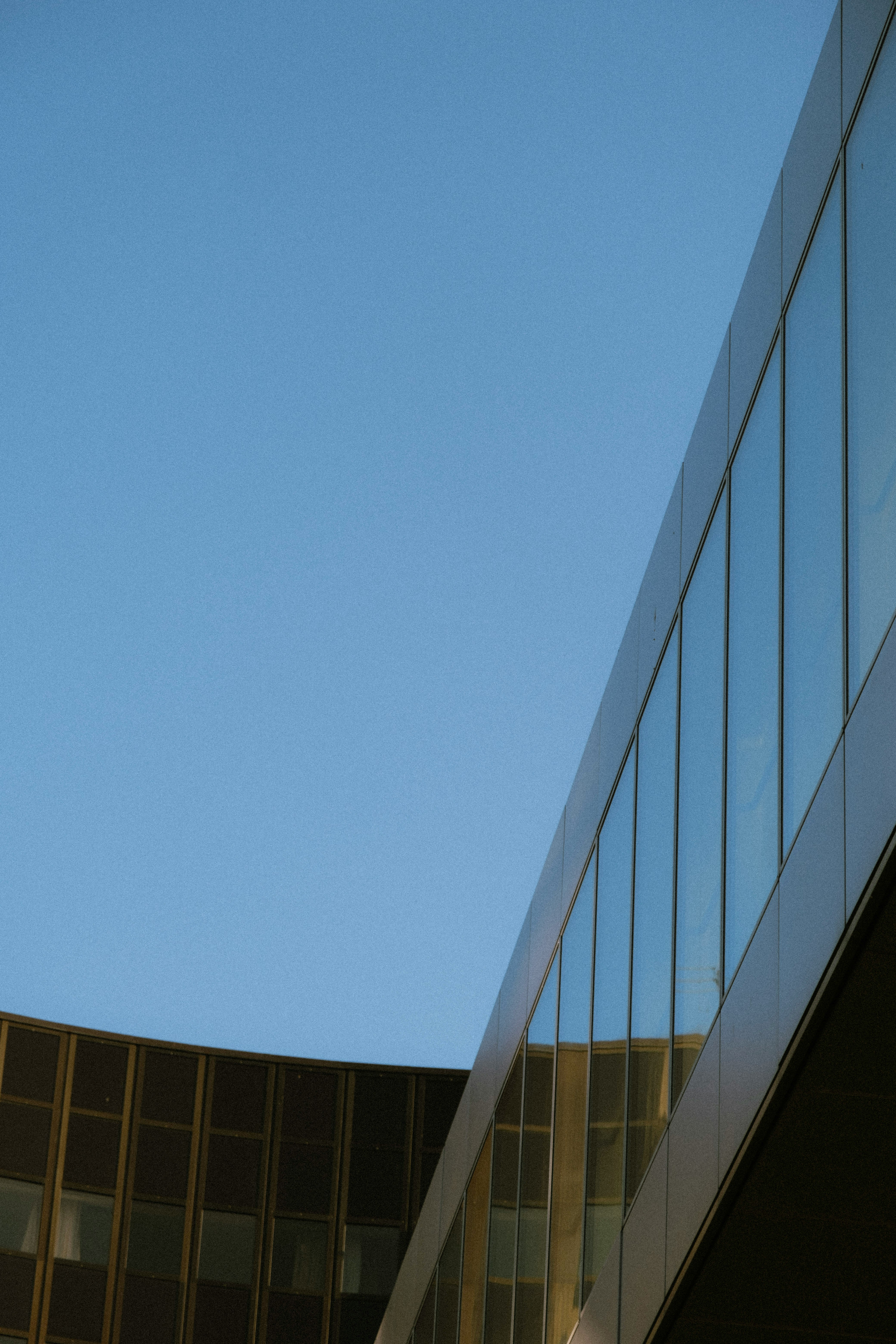 white metal framed glass building